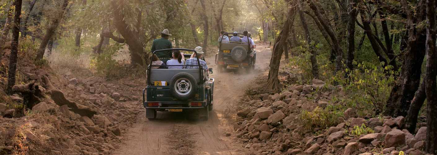 Let the Drama unfold with Corbett Safari